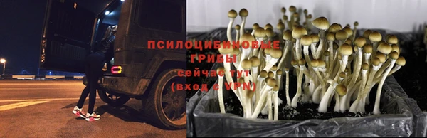 марихуана Абинск
