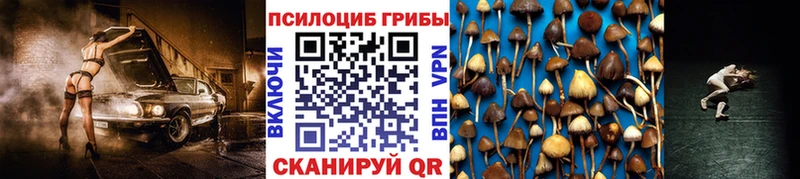 Псилоцибиновые грибы Magic Shrooms  Щёлково 